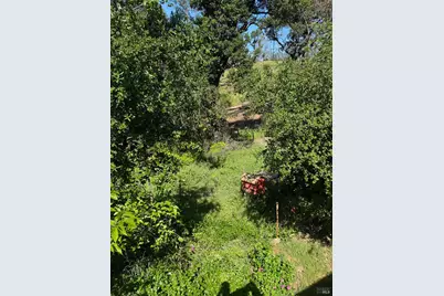 896 Sanitarium Road, Deer Park, CA 94576 - Photo 19