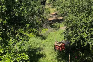 896 Sanitarium Rd, Deer Park, CA 94576 - Photo 19