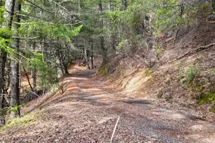 47111 Fox Rock Rd, Laytonville, CA 95454 - Photo 43