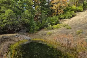 47111 Fox Rock Rd, Laytonville, CA 95454 - Photo 39