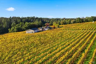 4630 Maddocks Rd, Sebastopol, CA 95472 - Photo 5