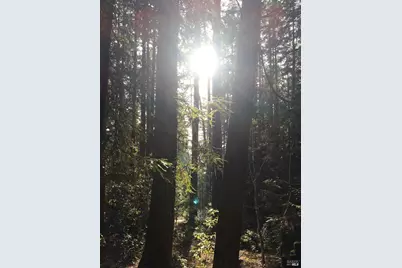 335 Deerfield, The Sea Ranch, CA 95497 - Photo 5