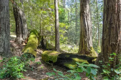 335 Deerfield, The Sea Ranch, CA 95497 - Photo 1