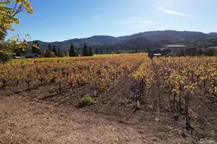 1747 Scott St, Saint Helena, CA 94574 - Photo 3