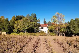 1747 Scott St, Saint Helena, CA 94574 - Photo 19