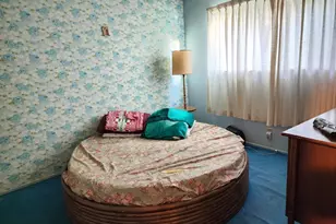 223 Camellia St, Fairfield, CA 94533 - Photo 13