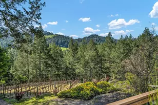 511 Kortum Canyon Rd, Calistoga, CA 94515 - Photo 9