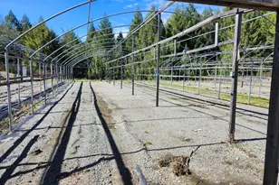 1075 Dutyville Rd, Garberville, CA 95542 - Photo 15