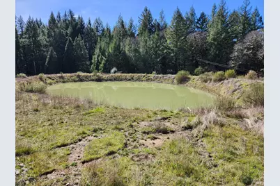 1075 Dutyville Road, Garberville, CA 95542 - Photo 29