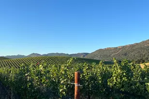 4060 Monticello Rd, Napa, CA 94558 - Photo 31