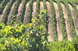 4060 Monticello Rd, Napa, CA 94558 - Photo 17