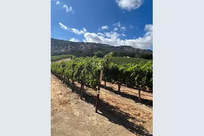 4060 Monticello Road, Napa, CA 94558 - Photo 23