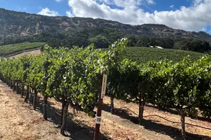 4060 Monticello Rd, Napa, CA 94558 - Photo 23