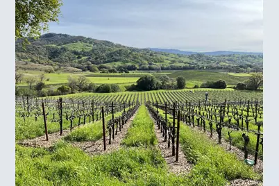 4060 Monticello Road, Napa, CA 94558 - Photo 1