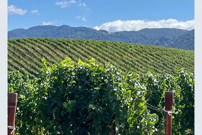 4060 Monticello Road, Napa, CA 94558 - Photo 7