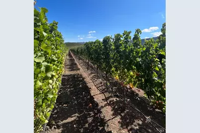 4060 Monticello Road, Napa, CA 94558 - Photo 13