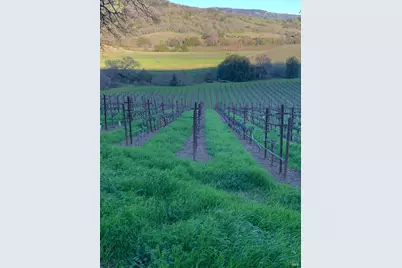 4060 Monticello Road, Napa, CA 94558 - Photo 9