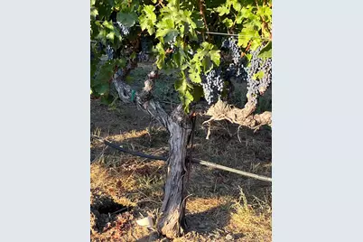 4060 Monticello Road, Napa, CA 94558 - Photo 33