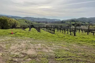 4060 Monticello Rd, Napa, CA 94558 - Photo 51