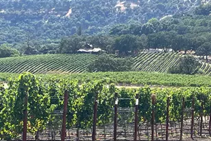 4060 Monticello Rd, Napa, CA 94558 - Photo 3