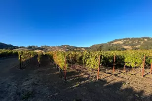 4060 Monticello Rd, Napa, CA 94558 - Photo 37