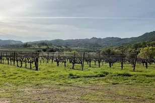 4060 Monticello Rd, Napa, CA 94558 - Photo 55