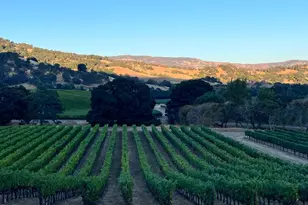 4060 Monticello Rd, Napa, CA 94558 - Photo 35