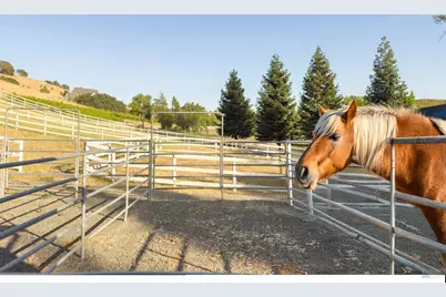 4560 Lovall Valley Loop Road, Sonoma, CA 95476 - Photo 75