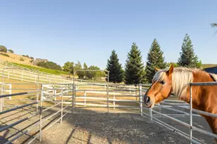 4560 Lovall Valley Loop Rd, Sonoma, CA 95476 - Photo 75