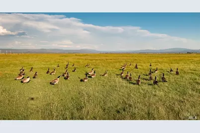 42369 Horr Road, McArthur, CA 96056 - Photo 33