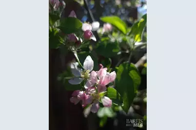 [Address not provided], Rohnert Park, CA 94928 - Photo 35