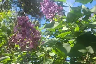 [Address not provided], Rohnert Park, CA 94928 - Photo 39