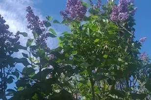 [Address not provided], Rohnert Park, CA 94928 - Photo 37