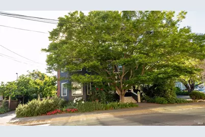 1133 Seminary Street, Napa, CA 94559 - Photo 5