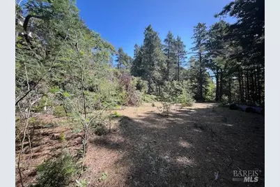 46109 Fish Rock Road, Gualala, CA 95445 - Photo 5