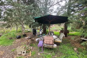 25428 Mendocino Pass Rd, Covelo, CA 95428 - Photo 15