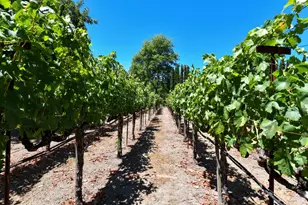 455 Glass Mountain Rd, Saint Helena, CA 94574 - Photo 7