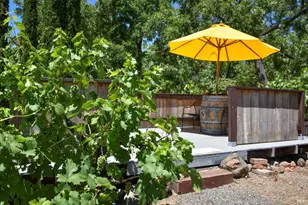 455 Glass Mountain Rd, Saint Helena, CA 94574 - Photo 11