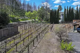 455 Glass Mountain Rd, Saint Helena, CA 94574 - Photo 21