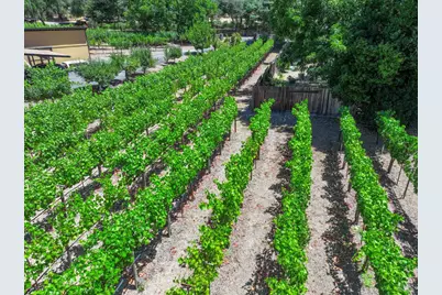 455 Glass Mountain Road, Saint Helena, CA 94574 - Photo 5