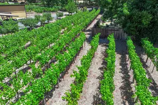 455 Glass Mountain Rd, Saint Helena, CA 94574 - Photo 5