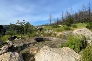 3500 Silverado Trail, Saint Helena, CA 94574 - Photo 21