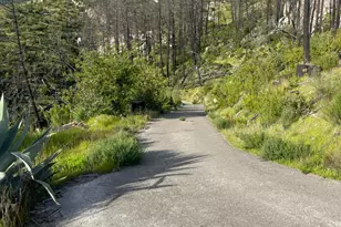 3500 Silverado Trail, Saint Helena, CA 94574 - Photo 29