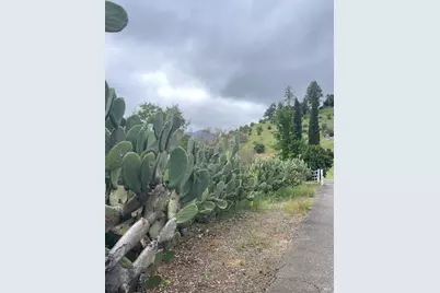 3500 Silverado Trail, Saint Helena, CA 94574 - Photo 33