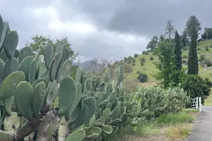 3500 Silverado Trail, Saint Helena, CA 94574 - Photo 33