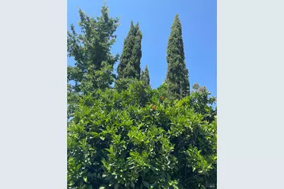 3500 Silverado Trail, Saint Helena, CA 94574 - Photo 37