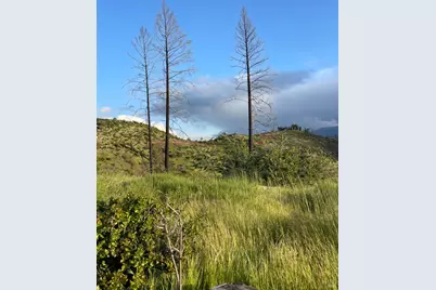 3500 Silverado Trail, Saint Helena, CA 94574 - Photo 19