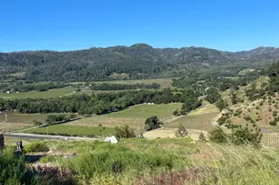 3500 Silverado Trail, Saint Helena, CA 94574 - Photo 3