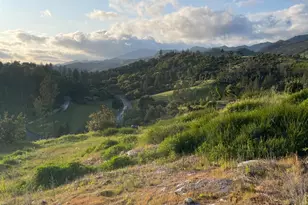 3500 Silverado Trail, Saint Helena, CA 94574 - Photo 17