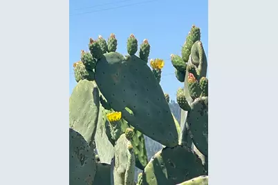 3500 Silverado Trail, Saint Helena, CA 94574 - Photo 35